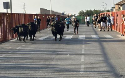 Fiestas Illescas 2024. Domingo 2 Encierro matinal