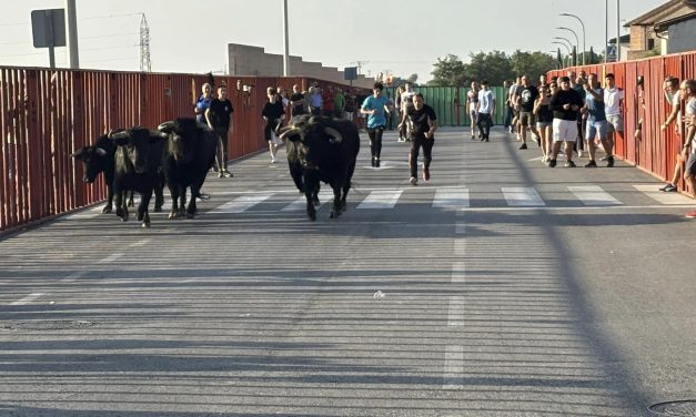 Fiestas Illescas 2024. Domingo 2 Encierro matinal