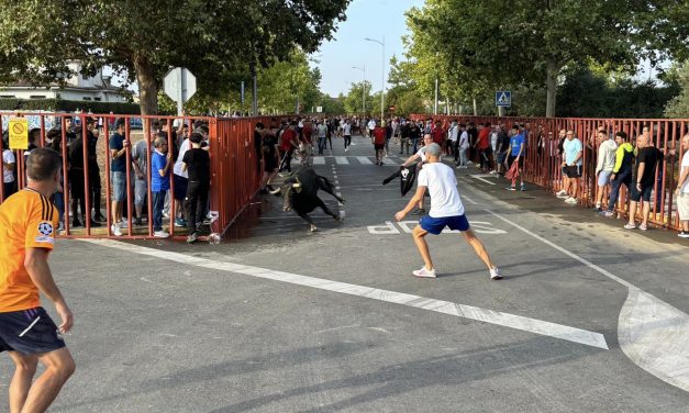 Fiestas Illescas 2024. Domingo 1 Encierro matinal