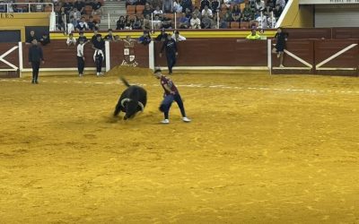 Fiestas Illescas 2024. Domingo 1 Toro del Aguardiente