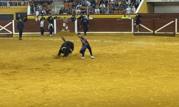 Fiestas Illescas 2024. Domingo 1 Toro del Aguardiente